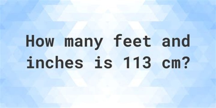 113 cm to feet 113 cm in feet