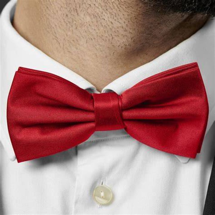 Bow tie, Red, Pink, Fashion accessory, Headgear, Tie, Neck, Coin purse, Bag, Formal wear, 