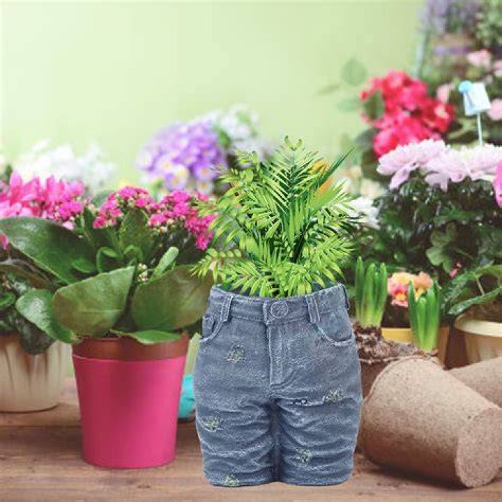 Clothing, Leg, Flowerpot, Plant, Denim, Human leg, Textile, Outerwear, Thigh, Shorts, 