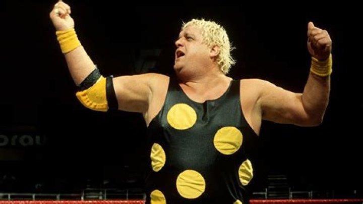 dusty rhodes