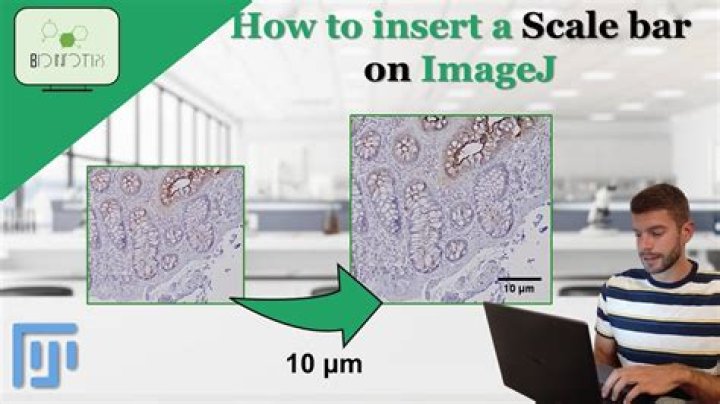 How do I save a scale bar in ImageJ?