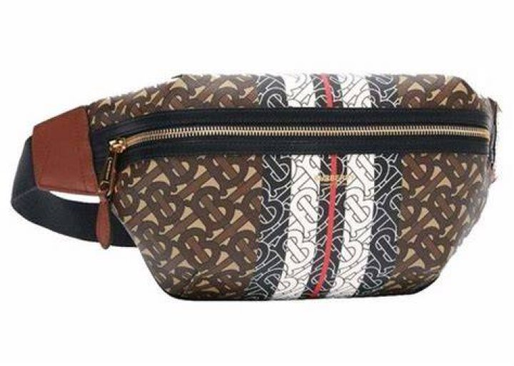 Medium monogram stripe e-canvas bum bag Medium monogram stripe e-canvas bum bag
