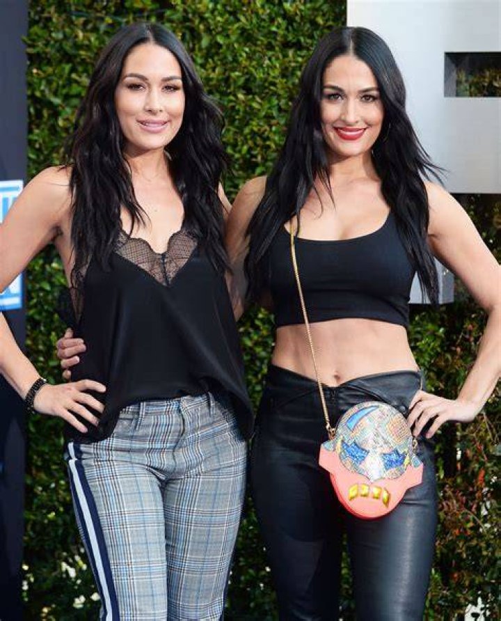 nikki bella brie bella the bella twins nikki bella brie bella the bella twins