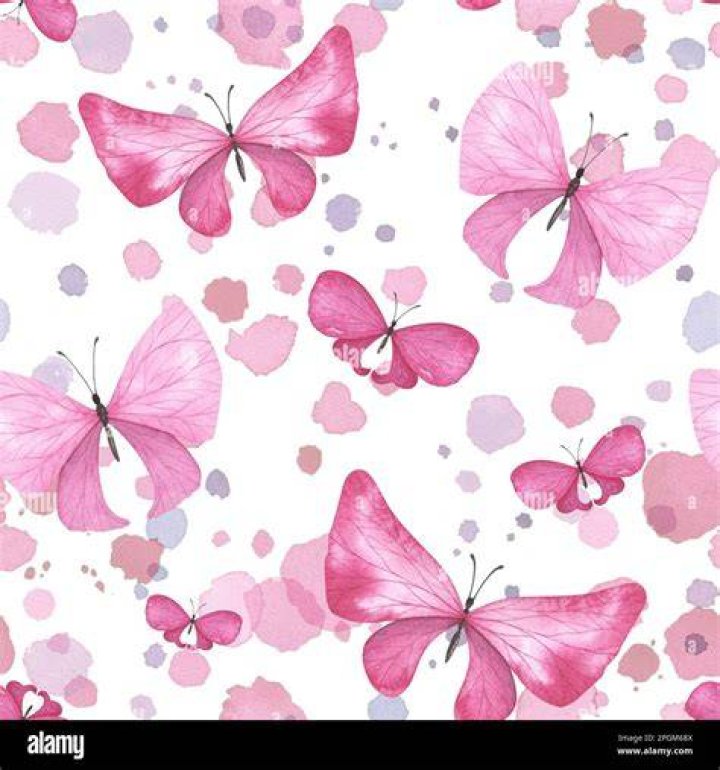 Pink, Footwear, Design, Butterfly, Pattern, 