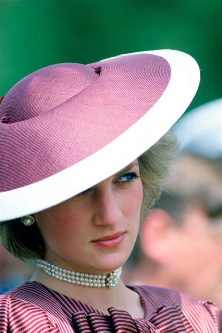 Princess Diana pink red hat suit Princess Diana pink red hat suit