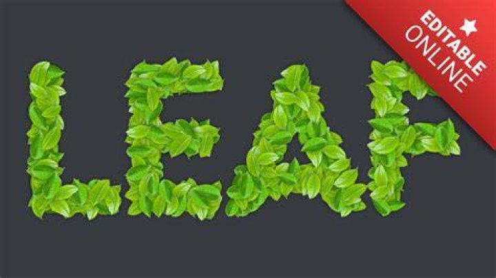Text, Green, Font, Logo, Leaf, Graphic design, Graphics, Brand, Plant, Illustration, 