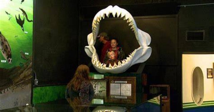 UNC-TV Science | Aurora Fossil Museum