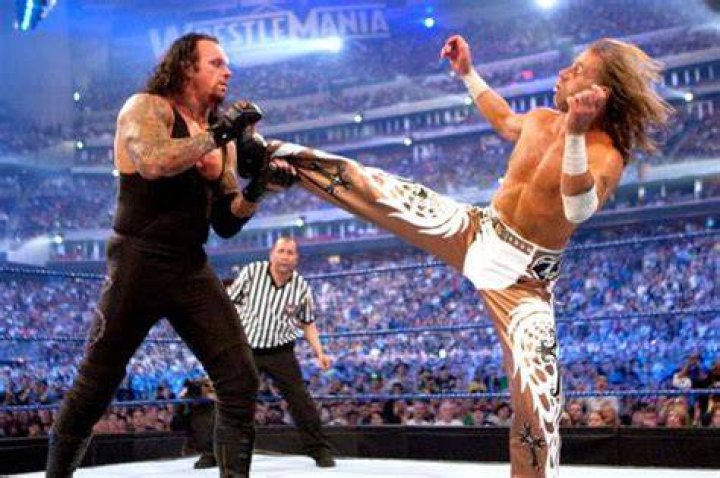 WrestleMania 25: Shawn Michaels vs. The Undertaker?